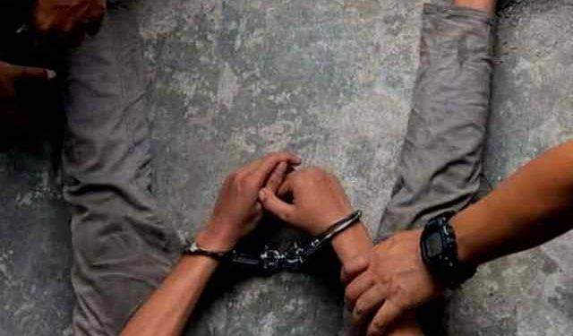 FB IMG 1703419721032