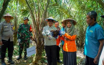 RUMAH ZAKAT DAN KEMENTERIAN RI ADAKAN PANEN RAYA SALAK PONDOH DI BANJARNEGARA 6 IMG 20231216 WA0230
