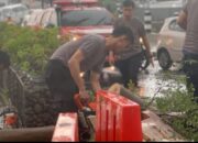 Gercep Polisi Kota Kediri Bersama BPBD Evakuasi Pohon Tumbang di 4 Lokasi