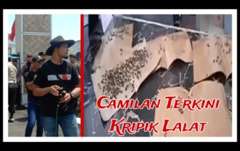 LSM Gerak Indonesia, Siap Estafet Gelar Aksi Damai Di Beberapa Dinas,Ternyata Ini Penyebabnya.