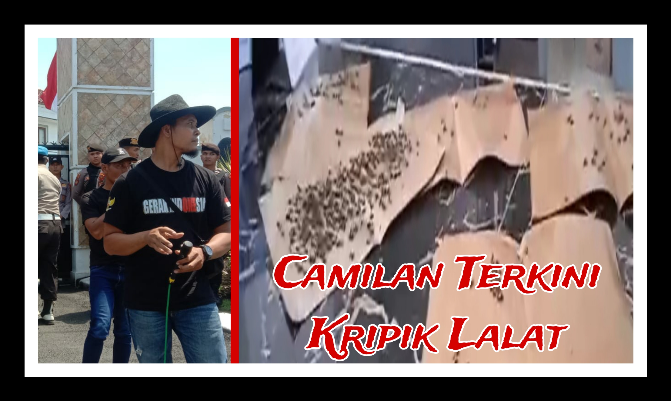 Picsart 24 01 23 09 58 56 688