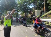 Antisipasi Pohon Tumbang Saat Hujan Kanit Kamsel Satlantas Polres Kediri Lakukan Pemangkasan Dahan Pohon di Jalur Hijau Bersama DLHK 3 IMG 20240327 WA0012