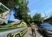 Antisipasi Pohon Tumbang Saat Hujan Kanit Kamsel Satlantas Polres Kediri Lakukan Pemangkasan Dahan Pohon di Jalur Hijau Bersama DLHK 2 IMG 20240327 WA0013