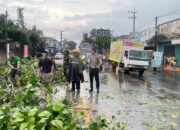 *Pohon Tumbang Di Kec. Ngadiluwih Kediri Akibat Hujan Lebat Dan Angin Kencang Anggota Unit Turjagwali Lakukan Pengaturan Lalulintas* 2 IMG 20240418 WA0039