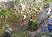 Cegah Demam Berdarah, Babinsa Koramil 0808/20 Sananwetan Ajak Warga Bersihkan Lingkungan 3 IMG 20240515 WA0033