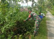 Aksi Kerja Bakti Babinsa Beserta Warga Panggungrejo