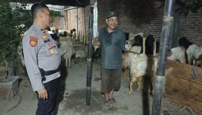 Cegah Tindak Pidana Pencurian Hewan Ternak Jelang Idul Adha 1445 Hijriyah, Polsek Mojoroto Intensifkan Patroli ke Lapak Hewan Kurban