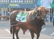 Serahkan Hewan Qurban Idul Adha, Kapolres Kediri: Semoga Bermanfaat dan Membawa Berkah 3 IMG 20240617 WA0040