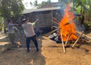 Tegas Perangi Perjudian, Polisi Bakar Dua Lokasi Sabung Ayam di Malang