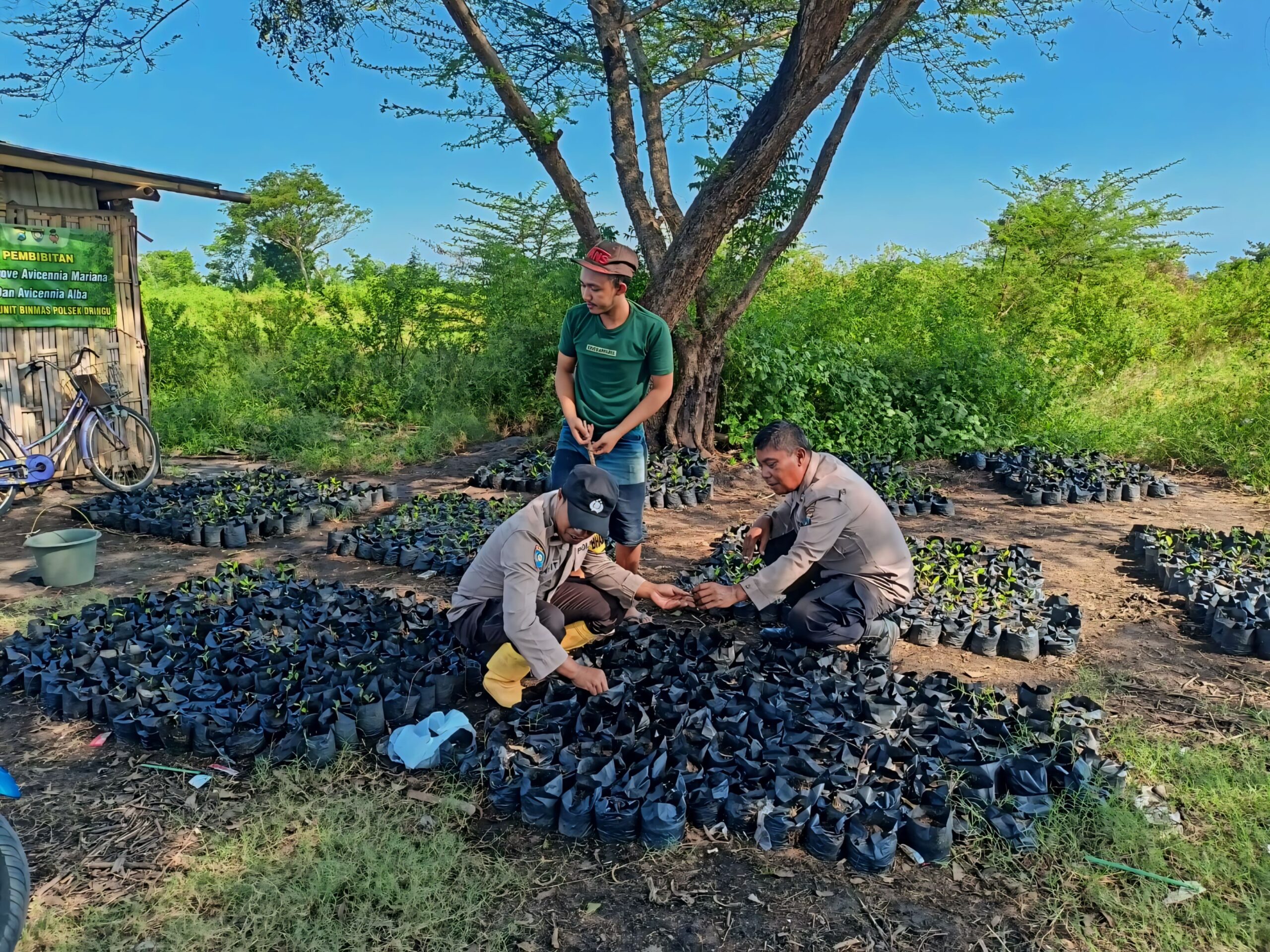 IMG 20240712 WA0042 scaled