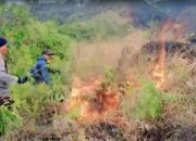 Polri dan Tim Gabungan Berhasil Padamkan Kebakaran Hutan di Lereng Arjuno Malang