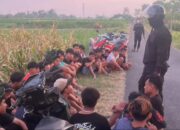 IMG 20240721 19515744