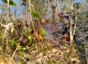 Polisi Bersama TNI dan Relawan Berhasil Padamkan Kebakaran di Gunung Liliran Ngawi