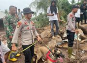 Polri Kerahkan 102 Personel dan Satu Anjing K9 Cari Korban Longsor di Kelurahan Rua, Ternate