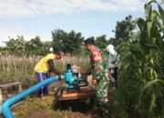 Melalui Program Pompanisasi, Babinsa Desa Kebunduren bantu Petani Mengairi Sawah