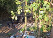 Truk Muatan Makanan Ringan (Snack) Terbalik hingga Masuk Sungai diJembatan Mojo