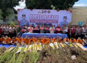 Operasi Tumpas Narkoba Semeru 2024, Polres Lumajang Berhasil Ungkap 16 Kasus dan Bongkar Ladang Ganja di TNBTS