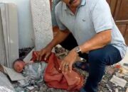 Geger!!! Warga Menemukan Bayi Laki-Laki di Belakang Rumah di Perumahan Mojoroto indah