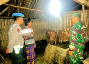 Sinergitas Polisi Bersama TNI di Lumajang Rutin Patroli Malam Cegah Pencurian Hewan Ternak