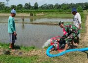 Babinsa Nglegok Dan Poktan Sido Makmur 1 Pastikan Ketersediaan Air Dengan Pompanisasi
