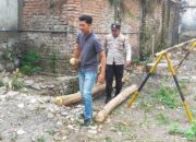 Hujan deras disertai angin kencang disertai angin kencang kerap kali menyebabkan pohon roboh dan menerpa rumah serta menggangu jalan