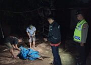 Polres Nganjuk Gerebek dan Bongkar Arena Judi Sabung Ayam dan Dadu di Desa Klurahan Kecamatan Ngronggot, Akankah Buka Kembali??