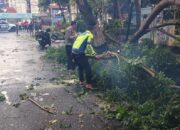 Aksi Cepat Tanggap Bencana Sat Lantas Polres Kediri Dalam Mengatasi Pohon Tumbang Saat Musim Hujan