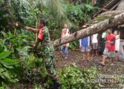 Dandim 0808/Blitar Instruksikan Kewaspadaan Pasca Hujan Deras dan Angin Kencang di Wilayah Blitar