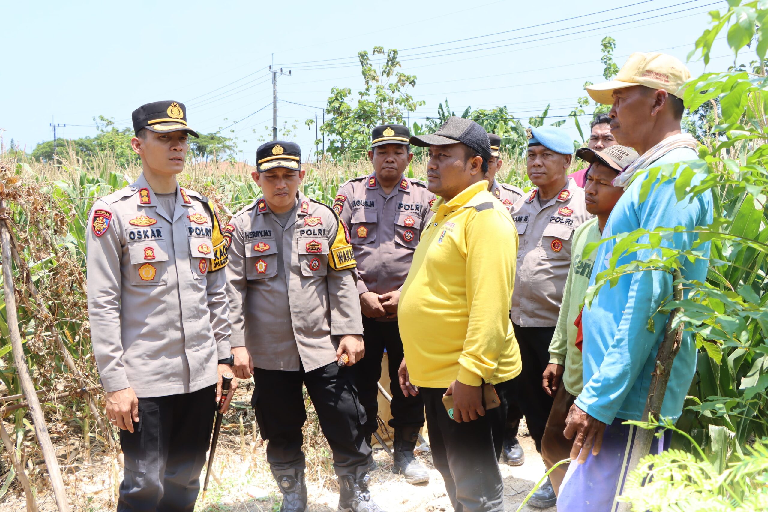 IMG 20241101 WA0034 scaled