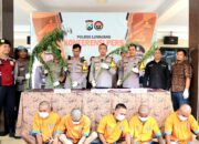 Polres Lumajang Berhasil Ungkap Peredaran Narkoba dan Ladang Ganja 5 Tersangka Diamankan