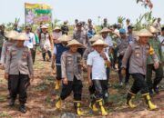Wujudkan Swasembada Pangan, Polres Jombang Tanam Jagung di Lahan Kosong