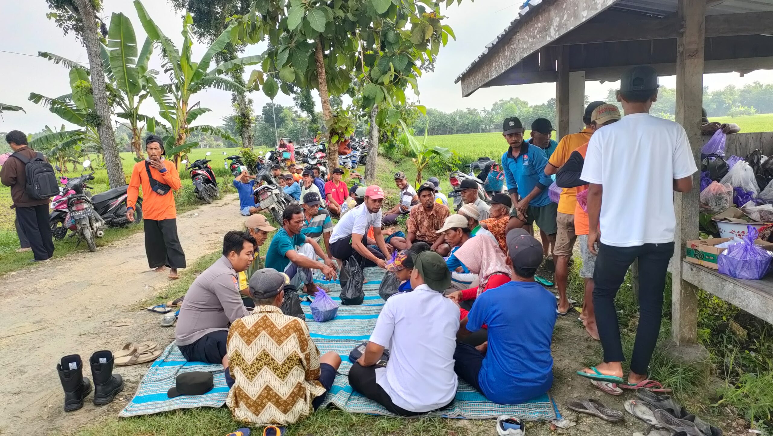 IMG 20241114 WA0072 scaled