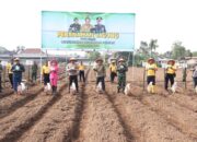 Wujudkan Ketahanan Pangan Mandiri, Polres Blitar Kota Bersama Masyarakat Tanam Jagung Di Lahan Aset Polri