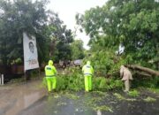 Kapolres Nganjuk Apresiasi Penanganan Cepat Pohon Tumbang di Rejoso