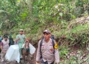 Penuh Perjuangan, Petugas Distribusikan Logistik Pilkada Menggunakan Kuda ke TPS Terpencil di Jember