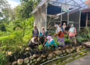 Pak Bhabin di Magetan Ajak Warga Manfaatkan Pekarangan Tanami Sumber Pangan Bergizi