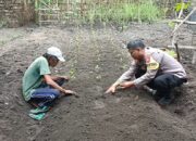 Wujudkan Ketahanan Pangan, Bhabinkamtibmas Polres Nganjuk Ajak Warga Manfaatkan Lahan Sela