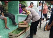 Bhabinkamtibmas Gondang Bagikan 930 Bibit Tanaman untuk Dukung Ketahanan Pangan