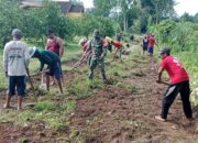 Minggu Bersih Babinsa Kebunduren Bersama Warga, Bahu-Membahu Kerja Bakti Bersihkan Jalan Dusun