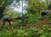 Jaga Kelestarian Lingkungan Babinsa Kalidawir Bersama Warga, Tanam Pohon Trembesi Di Sumber Air
