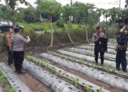 Polsek Patianrowo Pantau Pemanfaatan Lahan Pekarangan untuk Dukung Ketahanan Pangan