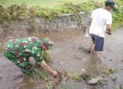 Optimalkan Saluran Irigasi Pertanian, Babinsa Kalipucung Bersama Poktan Tata Tentram Lakukan Kerja Bakti