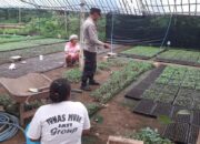 Dukung Program Asta Cita, Polisi Kediri Dampingi Warga Manfaatkan Lahan Perkebunan