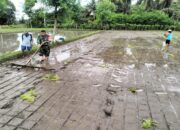 Babinsa Desa Penataran Dampingi Petani Tanam Padi di Dusun Sumberkecek