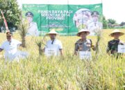Kapolres Nganjuk Hadiri Panen Raya Padi Serentak, Tegaskan Komitmen Dukung Ketahanan Pangan