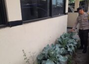 Polsek Patianrowo Pantau Perkembangan Tanaman Sayur Dukung Ketahanan Pangan
