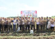 Polres Kediri Kota bersama Warga Tani Panen Raya Jagung, Wujud Nyata Dukung Swasembada Pangan