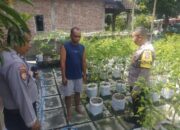 Polsek Ngetos Dukung Ketahanan Pangan, Pantau Pekarangan Sayur Warga