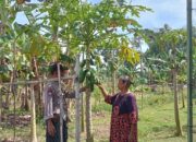 Polres Nganjuk Dukung Ketahanan Pangan, Manfaatkan Lahan Pekarangan Warga di Sonopatik