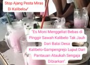 Es Moni Menggeliat Bebas di Pinggir Sawah Kalibelo Tak Jauh Dari Balai Desa Kalibelo-Gampengrejo Luput Dari Pantauan Ataukah Sengaja Dibiarkan”.